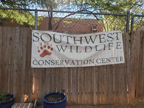 Southwest wildlife conservation center - Southwest Wildlife Conservation Center, Scottsdale, Arizona. 37,377 likes · 998 talking about this · 4,521 were here. Scottsdale, AZ ️ Saving native animals, one life at a time ️ Rescue ️...